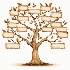 Stammbaum mit Platzhalter PNG Clipart Bundle - 40 hochwertige PNG - Sofortiger Download - Genealogische Diagramm Design PNG