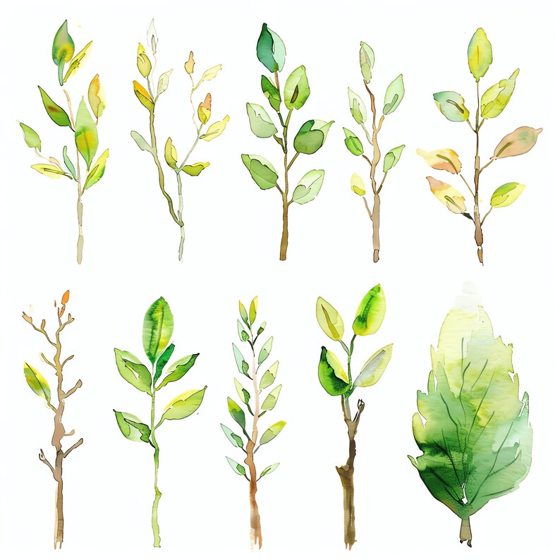 Tree Growth Progress PNG Clipart Bundle - 47 High Quality PNG - Instant ...