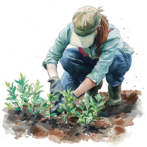 May include: Watercolor illustration of a person gardening. The person is wearing a green button-down shirt, blue jeans, a baseball cap, and gloves, tending to young green plants in the soil. The artwork has a soft, natural color palette.