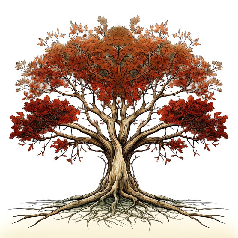 Tree Drawing Renaissance Renaissance Tree With Roots PNG Clipart Bundle - 45 High Quality PNG ...