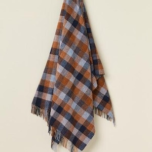 May include: A plaid blanket in shades of brown, navy blue, and light blue, hanging against a cream-colored wall. The blanket has a fringed edge. The pattern is a classic check design.