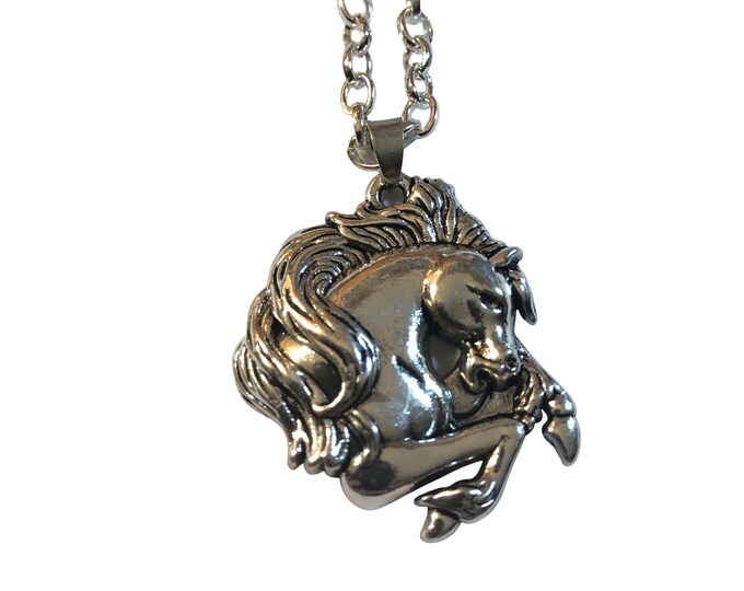 Large Silver Horse Stallion Rearing 1.25" Medallion Pendant 18" to 22" Chain or Waxed Cord Necklace