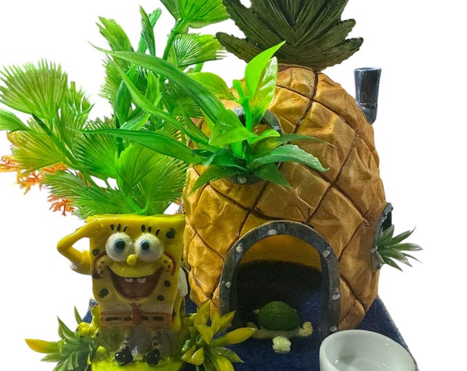 Custom Cartoon Sponge Pineapple Hide, Clear Jumping Spider Sling Enclosure, Dual Silver Vents, Feed Hole with Stopper, Bottom Opening, 5x5x9