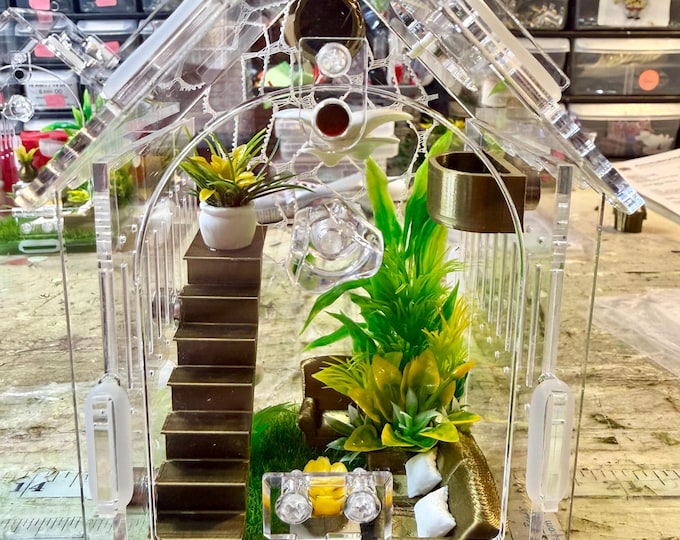 House Shaped Furniture Stairs Hide, Choose Color, Jumping Spider Enclosure, Cross Ventilation 1 mm, Feed Hole, Front Door, 3.15"x3.15"x5.6"