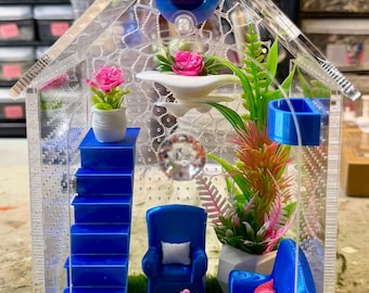 House Shaped Living Room or Bed Room, Stairs, Hide, Jumping Spider Enclosure, Cross Ventilation 1 mm, Feed Hole, Front Door, 5x5x8"