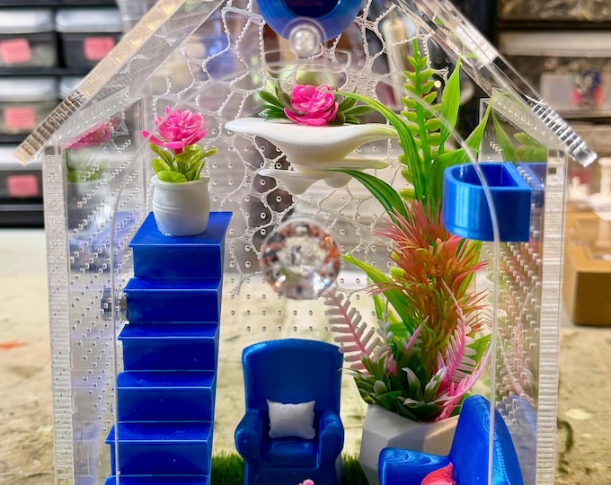 House Shaped Living Room or Bed Room, Stairs, Hide, Jumping Spider Enclosure, Cross Ventilation 1 mm, Feed Hole, Front Door, 5x5x8"