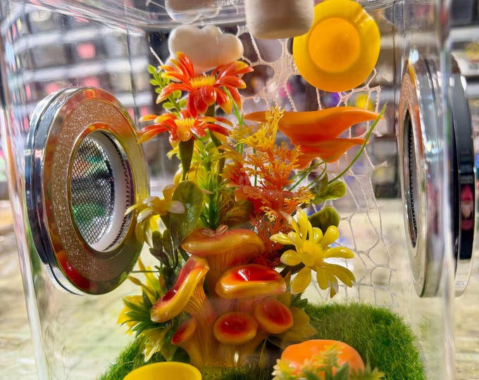 Custom Mushroom, Flower, Hides, Clear Jumping Spider Enclosure, Dual Silver Vents, Feed Hole with Stopper, Bottom Opening