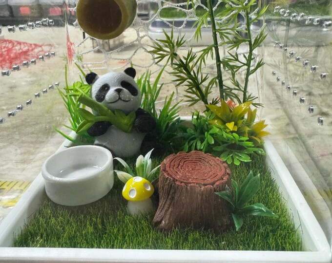 Custom Panda, Bamboo, Mushroom, Hides, Clear Jumping Spider Sling Enclosure, Stackable, Cross Vent, Bottom Opening