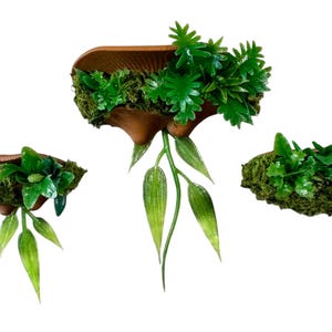 Magnetic Jumping Spider Mushroom Shelf With Plants Foliage Ledge Many Colors 1.5-2.4"