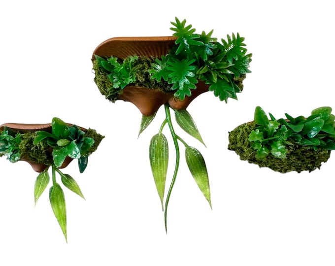 Magnetic Jumping Spider Mushroom Shelf With Plants Foliage Ledge Many Colors 1.5-2.4"