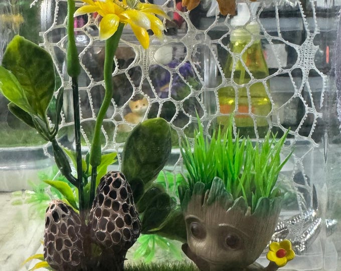 Custom MushroomGroot, Hides, Clear Jumping Spider Sling Enclosure, Dual Silver Vents, Feed Hole with Stopper, Bottom Opening