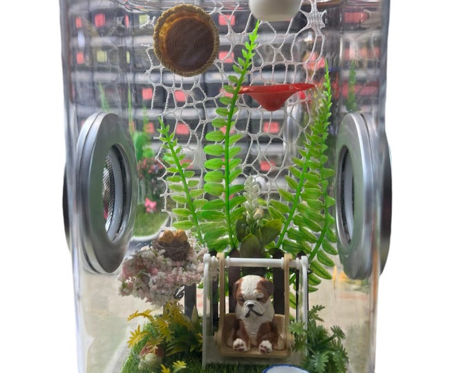 Custom Pets, Dog, Cat, Animals, Hides, Clear Jumping Spider Sling Enclosure, Dual Silver Vents, Feed Hole with Stopper, Bottom Opening