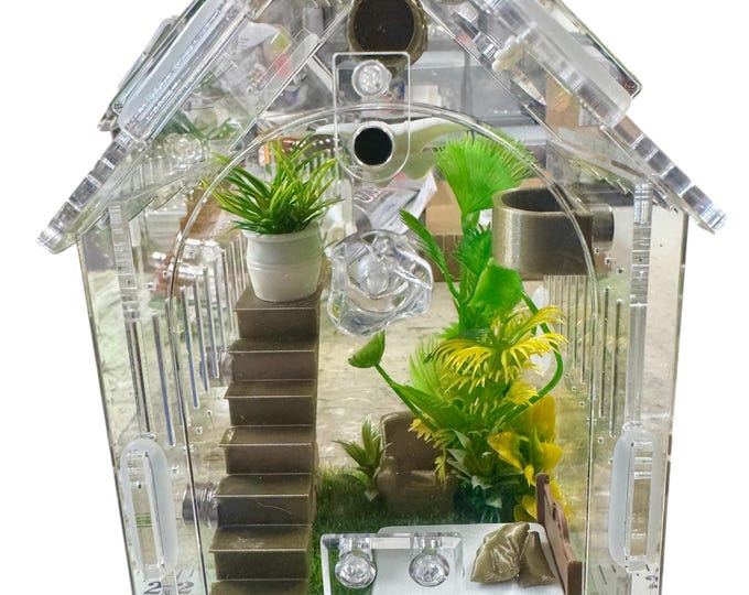 READY TO SHIP House Shaped Furniture Stairs Hide Jumping Spider Enclosure, Cross Ventilation 2 mm, Feed Hole, Front Door, 3.15"x3.15"x5.6"