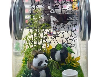 Custom Panda Bamboo, Hides, Clear Jumping Spider Enclosure, Dual Silver Vents, Feed Hole with Stopper, Bottom Opening, U Choose Height