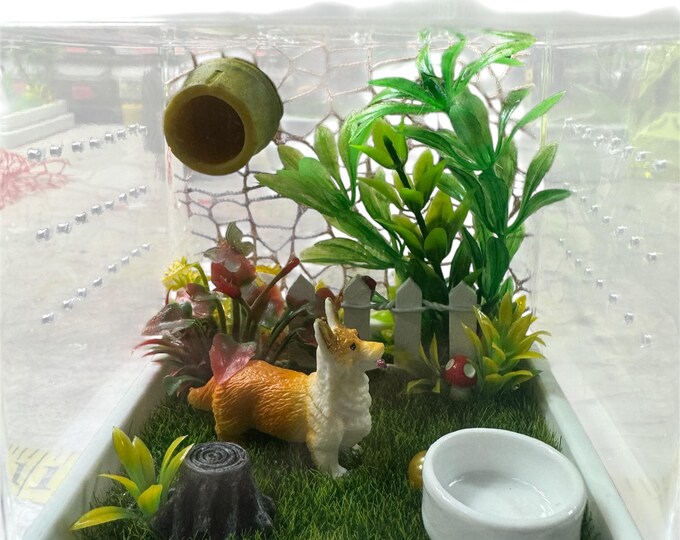 Custom U Pick Dog Breed, Mushroom, Hides, Clear Jumping Spider Sling Enclosure, Stackable, Cross Vent, Bottom Opening