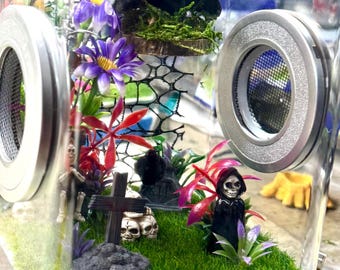 Custom Spooky Goth Raven Skull Clear Jumping Spider Enclosure, Dual Silver Vents, Feed Hole with Stopper, Bottom Opening