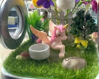 Custom Unicorn, Wings, Hides, Clear Jumping Spider Enclosure, Dual Silver Vents, Feed Hole with Stopper, Bottom Opening, U Choose Height