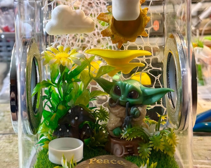 Custom MushroomYoda, Believe, Hides, Clear Jumping Spider Enclosure, Dual Silver Vents, Feed Hole with Stopper, Bottom Opening