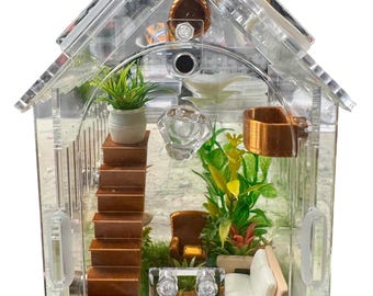 House Shaped Furniture Stairs Hide, Choose Color, Jumping Spider Enclosure, Cross Ventilation 2 mm, Feed Hole, Front Door, 3.15"x3.15"x5.6"