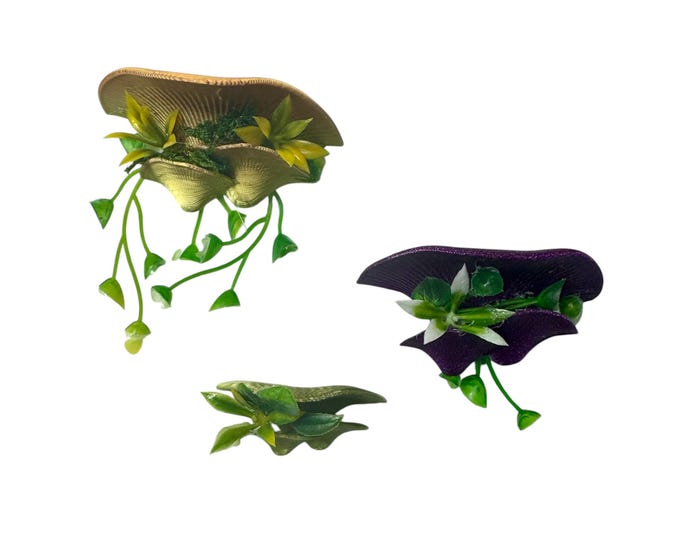 Magnetic Jumping Spider Mushroom Shelf With Plants Foliage Ledge Many Colors 1.5-2.4"