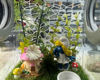 Custom Mushroom, Smurfette, Smurf Hides, Clear Jumping Spider Enclosure, Dual Silver Vents, Feed Hole with Stopper, Bottom Opening