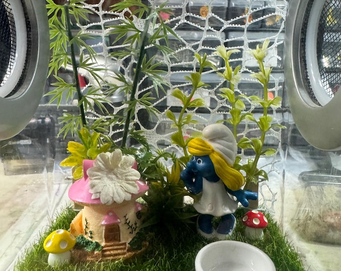 Custom Mushroom, Smurfette, Smurf Hides, Clear Jumping Spider Enclosure, Dual Silver Vents, Feed Hole with Stopper, Bottom Opening