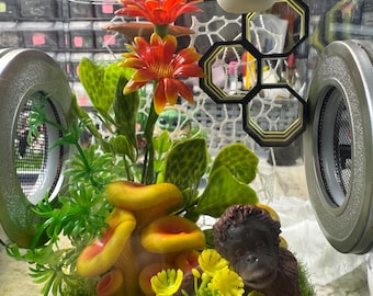 Custom Wildlife Zoo Mushroom, Flower, Hides, Clear Jumping Spider Enclosure, Dual Silver Vents, Feed Hole with Stopper, Bottom Opening