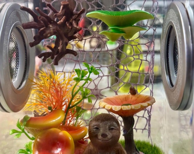 Custom Sloth, Llama or Flamingo Yoga, Hides, Clear Jumping Spider Sling Enclosure, Dual Silver Vents, Feed Hole with Stopper, Bottom Opening