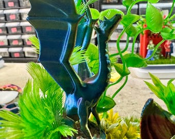 Custom Dual Dragons, , Clouds, Multi Color, Hides, Clear Jumping Spider Enclosure, Dual Silver Vents, Feed Hole with Stopper, Bottom Opening