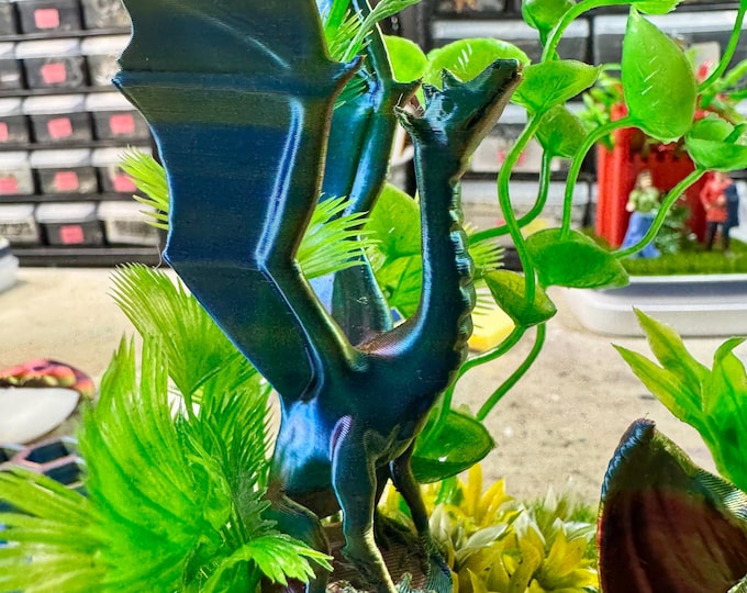 Custom Dual Dragons, Clouds, Many Colors, Hides, Clear Jumping Spider Enclosure, Dual Silver Vents, Feed Hole with Stopper, Bottom Opening
