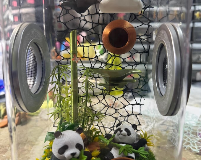 Custom Panda Bamboo, Hides, Clear Jumping Spider Enclosure, Dual Silver Vents, Feed Hole with Stopper, Bottom Opening, U Choose Height