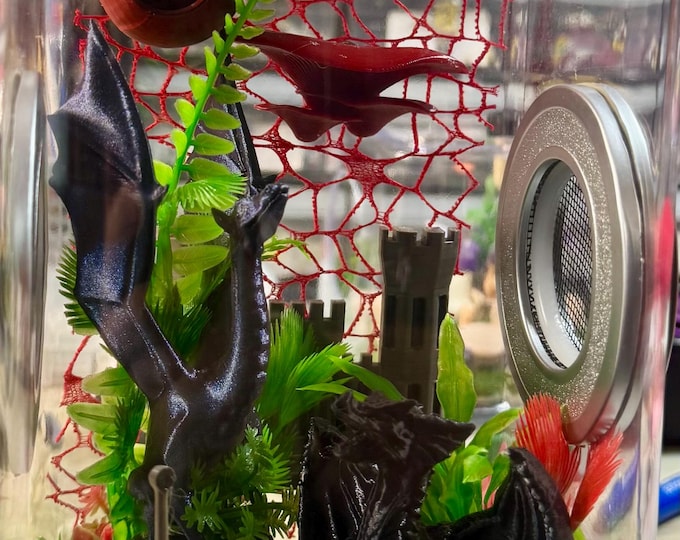 Custom Dual Dragons, , Clouds, Multi Color, Hides, Clear Jumping Spider Enclosure, Dual Silver Vents, Feed Hole with Stopper, Bottom Opening