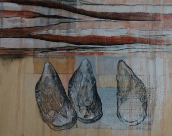 The river and the shell no3