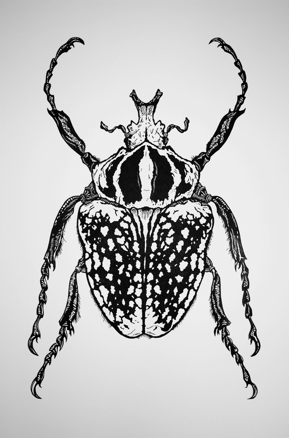 Goliathus Meleagris Goliath Beetle Linocut Print - Etsy