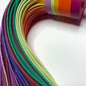 Op de afbeelding: Een regenboogkleurige leren zweep met een veelkleurige handgreep. De zweep is gemaakt van veel dunne leren stroken in tinten paars, groen, geel, oranje en roze.