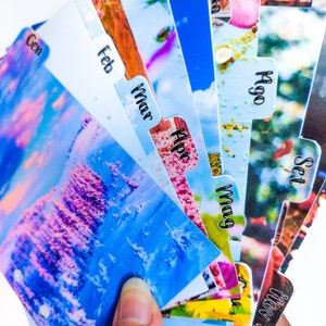 Può includere: Una mano tiene in mano un ventaglio di divisori per planner mensili. Ogni divisore presenta una diversa fotografia panoramica e un'etichetta del mese in caratteri neri. I divisori sono in tonalità di blu, rosa e verde, con i mesi dell'anno etichettati.