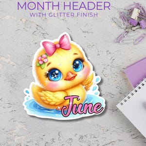 BUBBLES THE DUCK - 6月のヘッダー - ダイカット - ステッカー - グリッター - ホログラフィック - プランニング - 防水 - 春 - 文房具 - ライフスタイル