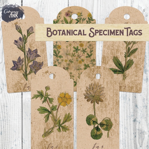 Vintage Botanical Specimen Tags, Junk Journal Tags, Scrapbook Tags, Mixed Media and Collage Tags, Botanical Tags