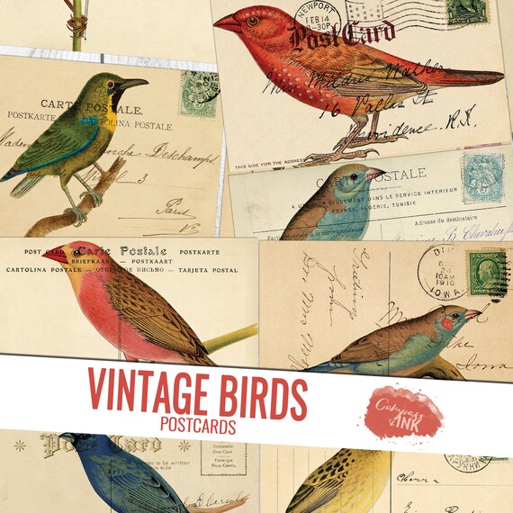 Bird Postcards Vintage Bird Postcard Printable Junk Journal Ephemera Bird - Etsy