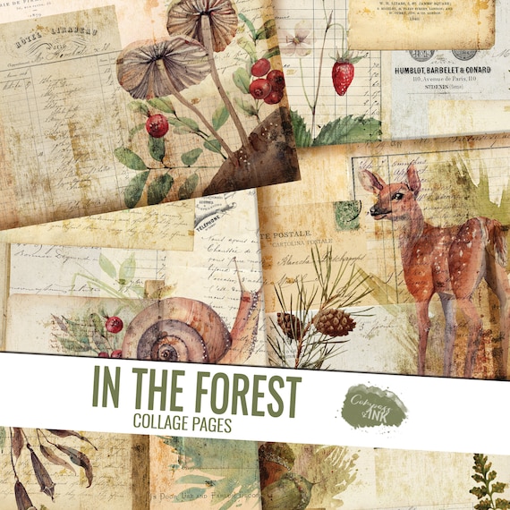 Forest Findings Junk Journal Kit Nature Junk Journal Kit 