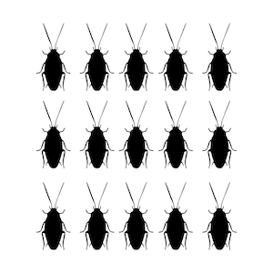 Cockroach Decals, roach decals, Halloween decals, Wall decals, Cockroach wall decals, Bug decals