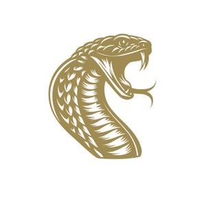 Peut inclure: Une illustration détaillée d'un cobra avec son capuchon déployé, représenté en or sur un fond blanc.