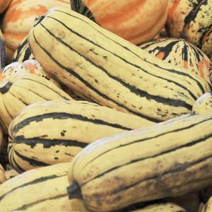 Peut inclure: Gros plan sur un tas de courges rayées. Les courges sont de couleur jaune pâle avec des rayures brun foncé.