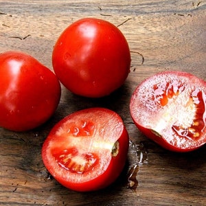 SHORT SEASON TOMATO Early Vegetable Lycopersicum Esculentum 48 Days 20 Seeds image 2