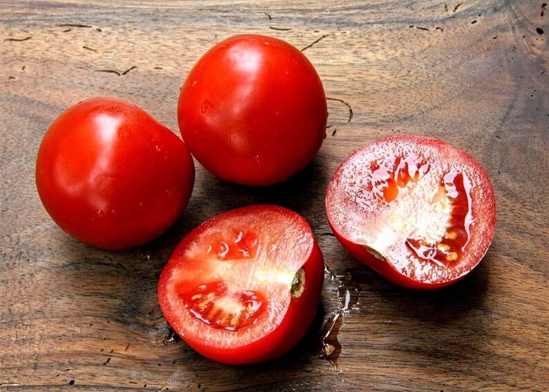 SHORT SEASON TOMATO Early Vegetable Lycopersicum Esculentum 48 Days 20 Seeds image 2