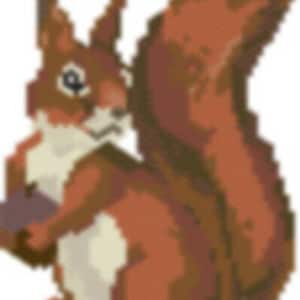 Peut inclure: Un écureuil brun et blanc avec une queue touffue assis sur un fond blanc.