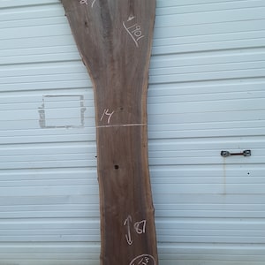 Live Edge Walnut Slab # 1901