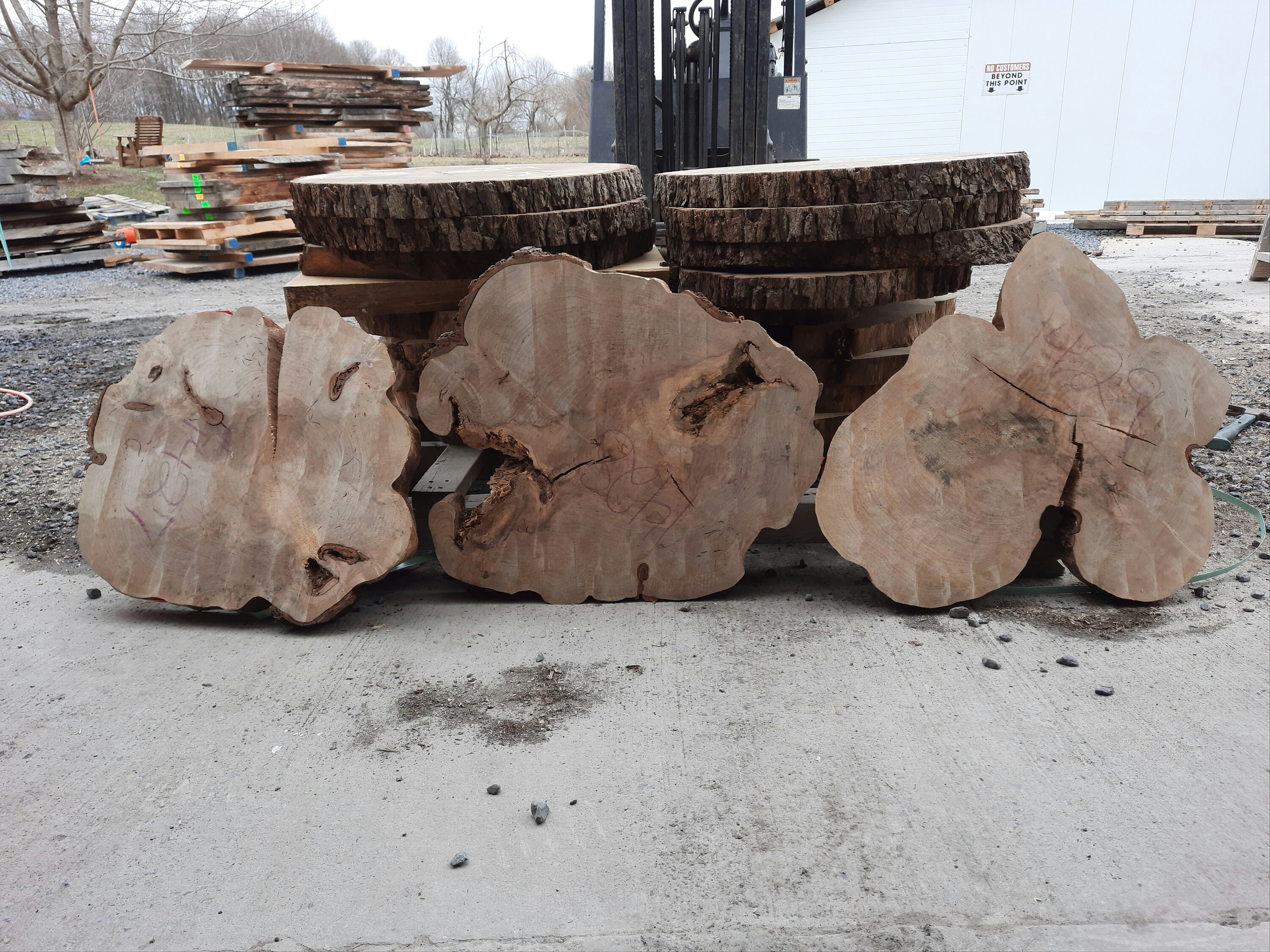 Maple cookie slabs whole sale 14271438 Etsy