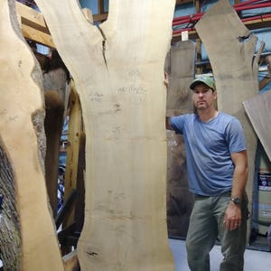 May include: A large, light-colored hardwood slab with a natural edge, marked with measurements and the text "Hard Maple". The slab is being held upright by a person in a workshop setting. The slab has a unique shape with a split near the top.