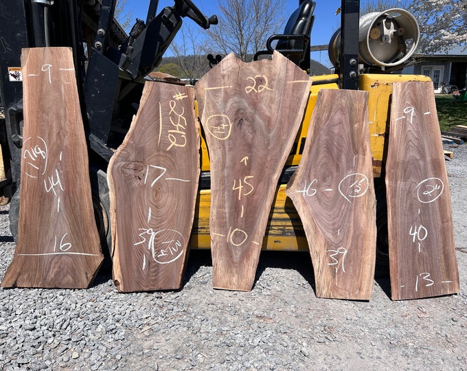 Live Edge Walnut Slabs 2542 Group 4pcs Etsy